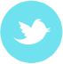Twitter link